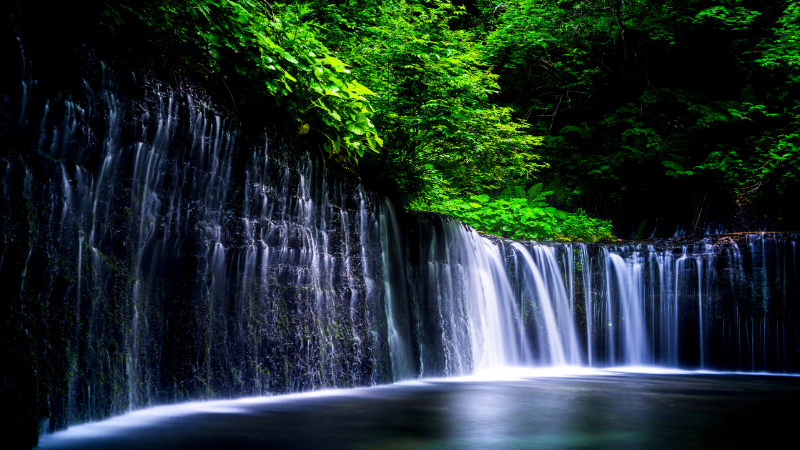 Karuizawa1960,JapaneseWhisky