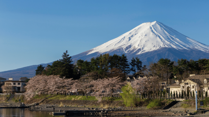 ShizuokaWhisky,JapaneseWhisky,mt.Fuji,Fujisan