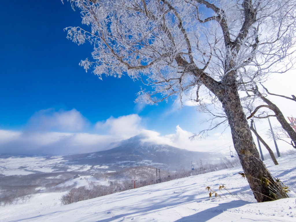 Niseko, list-of-whisky-distilleries
