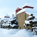 Yoichi Single Malt Whisky